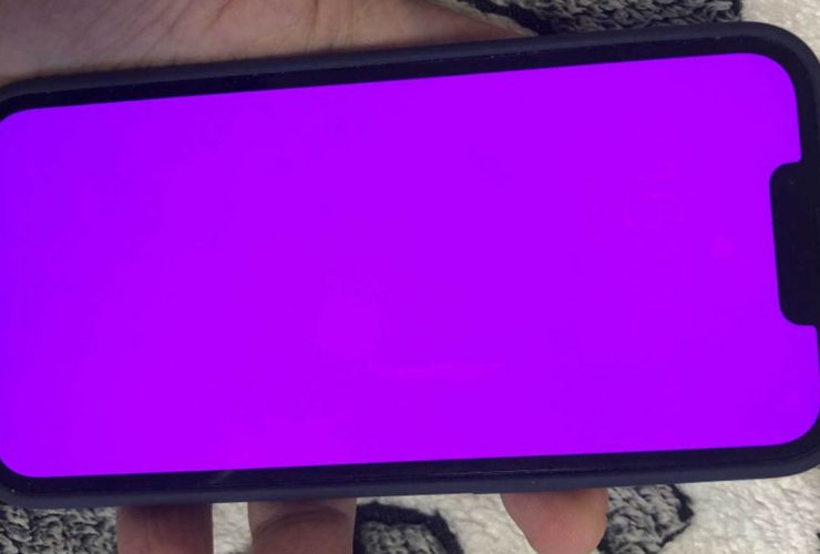 iPhone 13 schermo viola