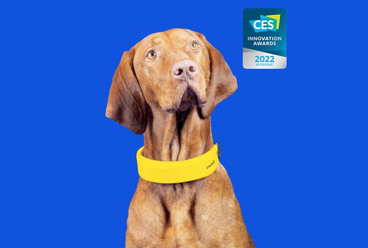 Battito cardiaco nel cane con Smart Dog Collar