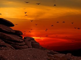 musica primitiva uomo preistorico magia