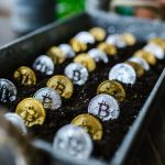 Selective Focus Photo of Silver and Gold Bitcoins