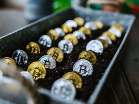 Selective Focus Photo of Silver and Gold Bitcoins