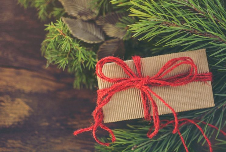 A beautifully wrapped Christmas gift box tied with a red bow sits on fresh pine branches.