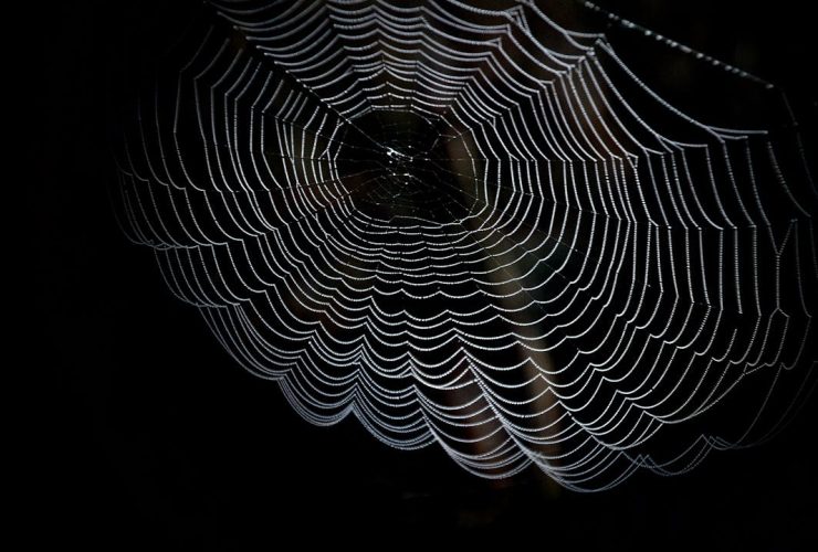 Close-up of a delicate spider web adorned with dewdrops against a dark background.