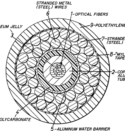 Schema illustrativo della sezione di un cavo sottomarino, non specifico del progetto Petal
